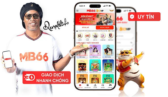 Hoàn tất cài đặt và đăng nhập 66ff